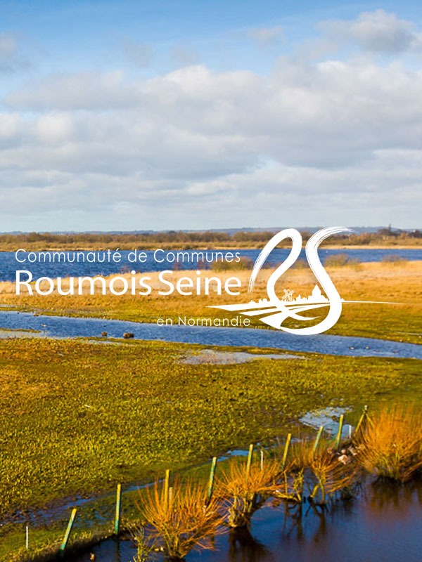 Site internet Communauté de Communes Roumois Seine 