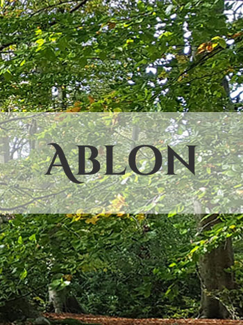Site internet Mairie de Ablon 