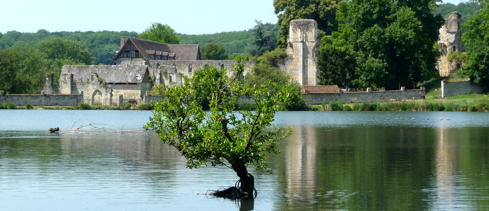 Fond mobile Union des maires et des élus de l’Eure