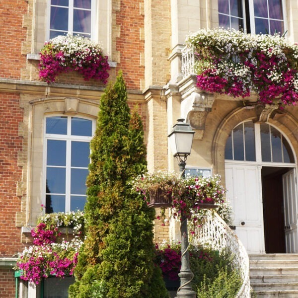 Site internet Mairie de Routot 